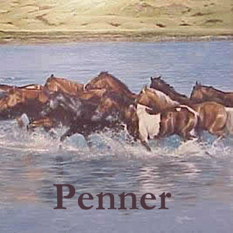 Kim Penner